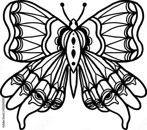 handrawing butterfly outline 