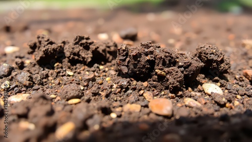 A close up view of dark brown soil clods with small rocks and seeds scattered on the surface