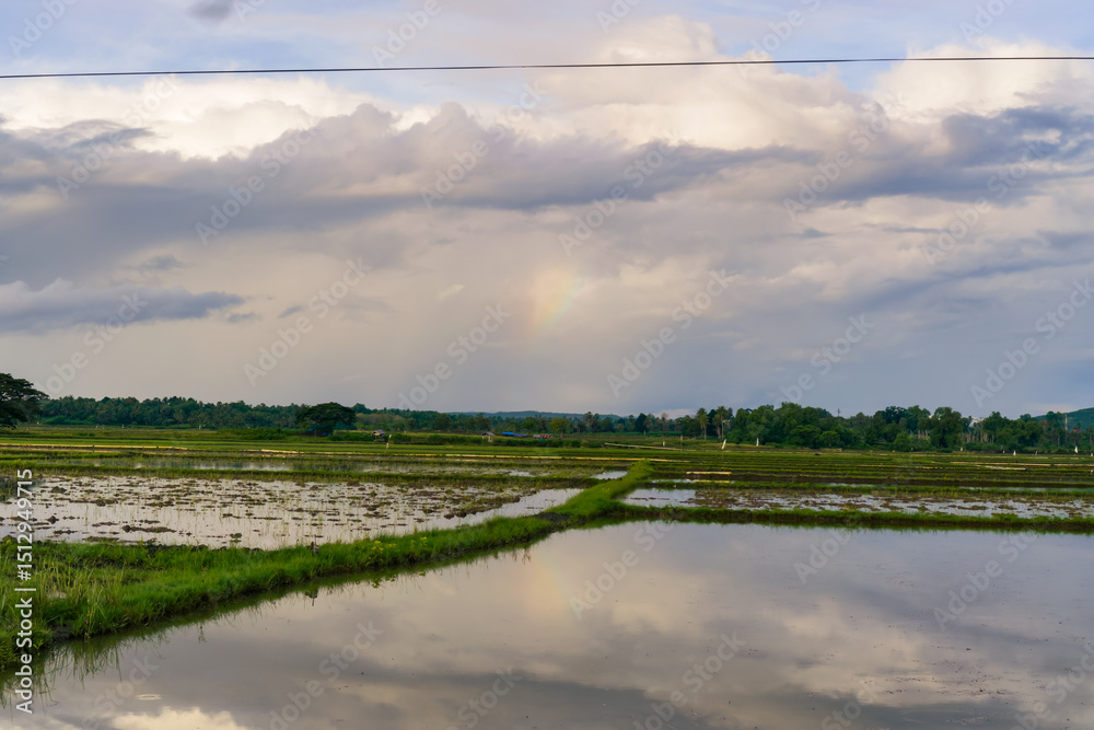 Fototapeta premium Tranquil Agricultural Field Under Cloudy Sky With Rainbow