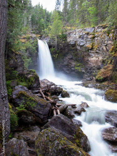 Waterfalls from Inland Rainforest Near Revelstoke, British Columbia, Canada