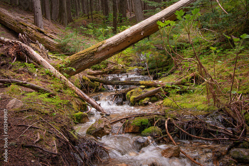 Waterfalls from Inland Rainforest Near Revelstoke, British Columbia, Canada