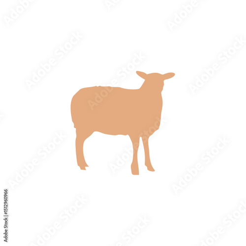 Eid Al Adha sheep and goat. Celebration of Muslim holiday the sacrifice