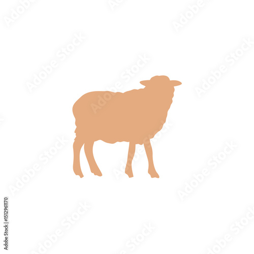 Eid Al Adha sheep and goat. Celebration of Muslim holiday the sacrifice