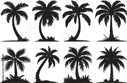 palm trees silhouettes