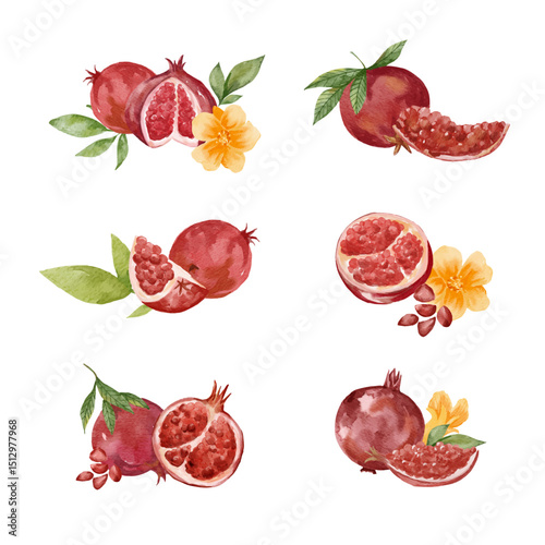 Watercolor set of pomegranate composition with flowers, leaves, and grains