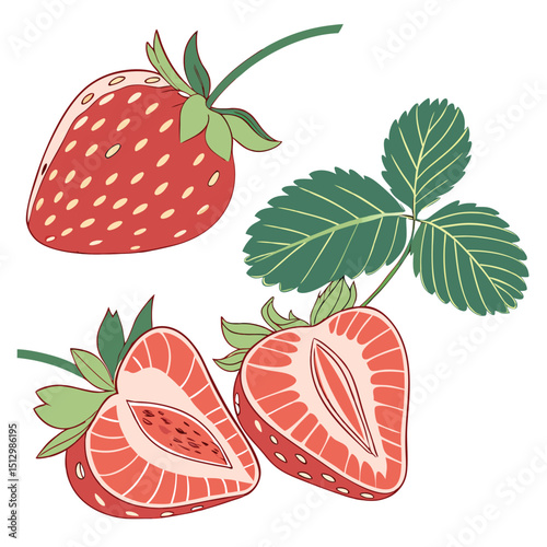 Strawberry Loved for its sweetness and use in desserts, jams, and smoothies