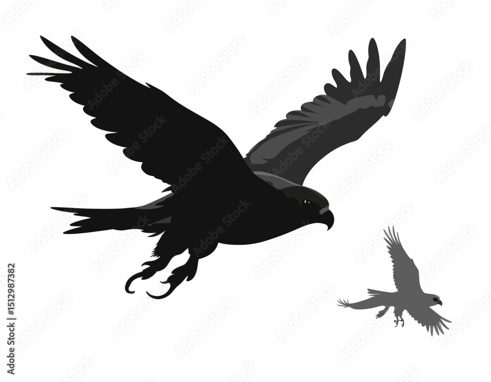Obraz premium Two Dark Birds In Flight Grayscale Wildlife Photography