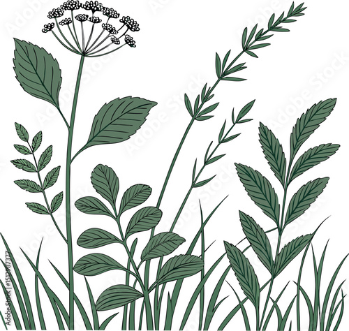Elegant Muted Color Pattern Featuring Green Herbal Plants

