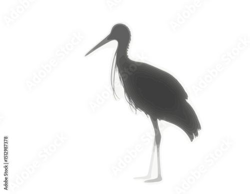Silhouette Of Bird On White Background
