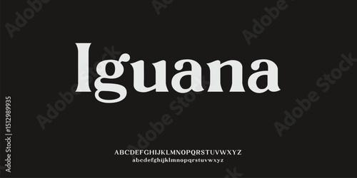 Lguana  elegant alphabet letters font and number. Typography Luxury classic lettering serif fonts decorative wedding vintage retro concept. vector illustration	
