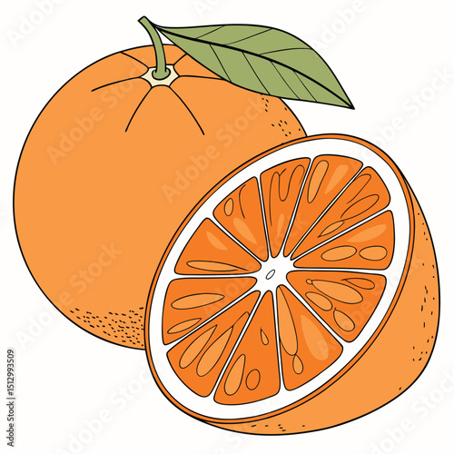 Orange A top citrus fruit; high in vitamin C and widely juiced