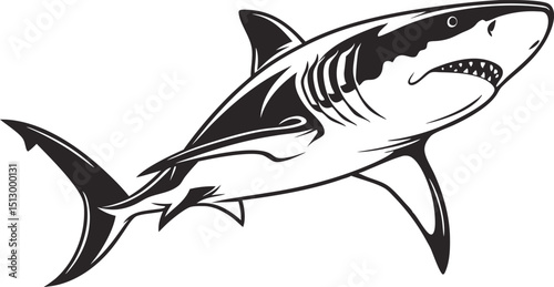 shark black and white silhouette vector illustration