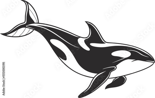 killer whale vector illustration swimming in the ocean with marine animal elements