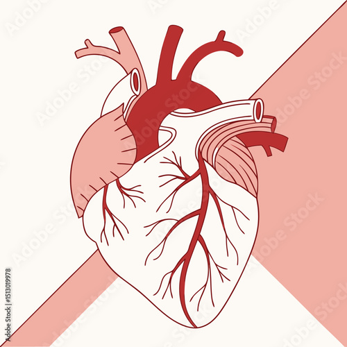 Health and Vitality Human Heart Vector Art with Subtle Grain Texture and Veins  