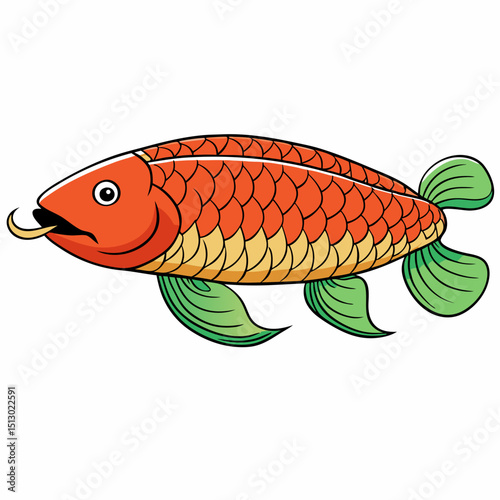 fish on a white background