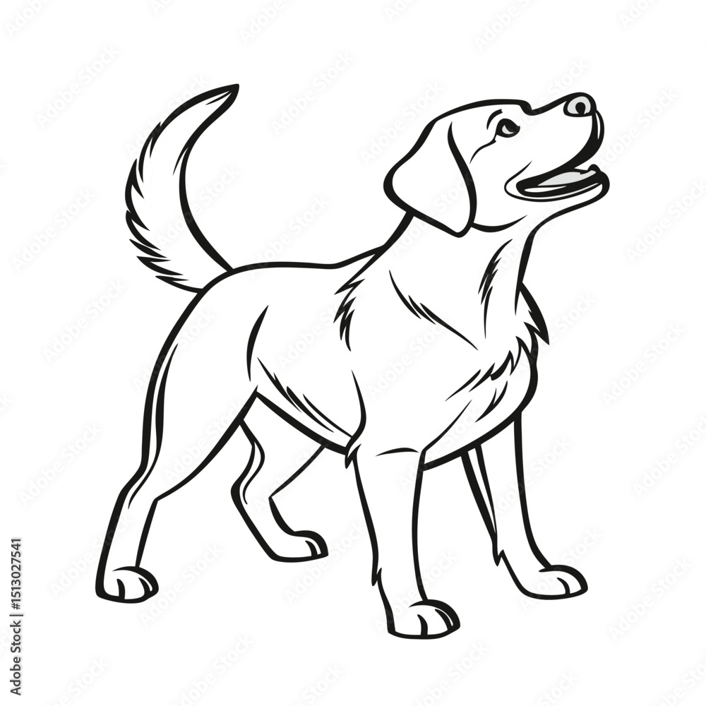Fototapeta premium Labrador Retriever Dog outline vector on white background