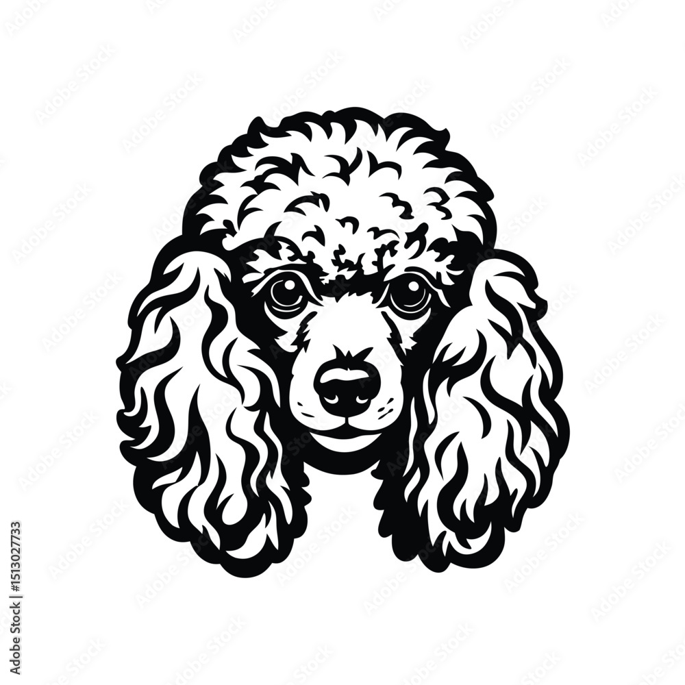 Obraz premium Poodle dog head isolated on a white background. Dog breed graphic