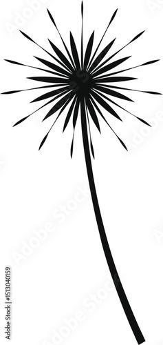 Elegant Dandelion Seed Head Silhouette Nature's Ephemeral Beauty