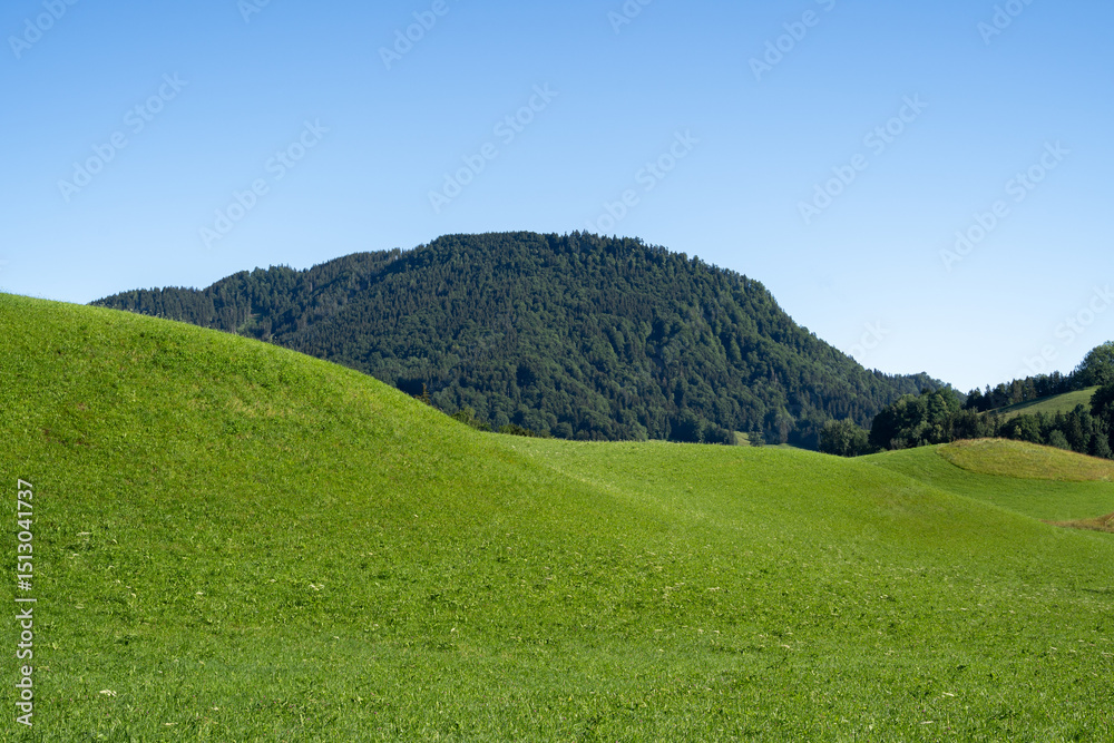 Fototapeta premium Green grass hill and clear sky in mountain landscape