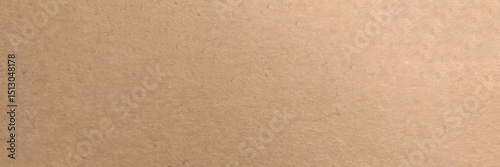 Brown paper recycled kraft texture background. Panorama view brown paper. Vector art