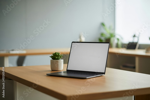 Modern workspace with laptop and plant on a wooden desk