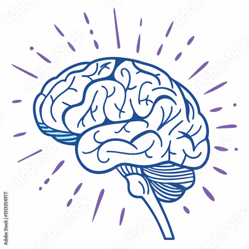 human brain