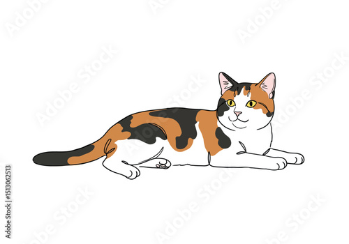 Calico cat drawing. Outline image of a mottled feline, a domestic cat breed known for its distinctive tri-color coat pattern, combining white, black, and orange patches. Vector sketch line art draw.
