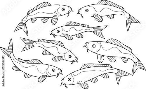 Koi fish illustration, black and white, coloring page, koi carp drawing, aquatic animals, freshwater fish, line art, nature design