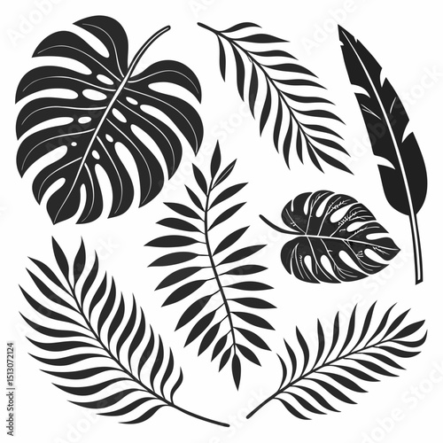 ropical leaves, palm leaves silhouettes, diverse collection, black shapes, leaf vector