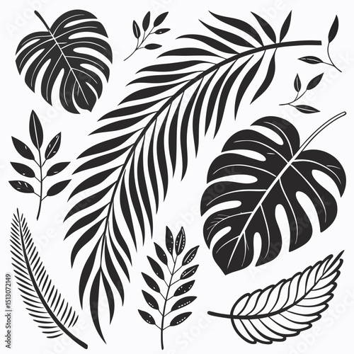 ropical leaves, palm leaves silhouettes, diverse collection, black shapes, leaf vector