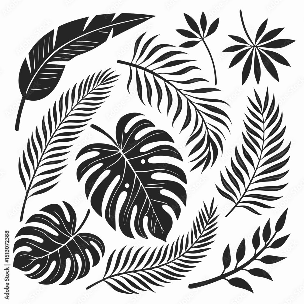 Fototapeta premium ropical leaves, palm leaves silhouettes, diverse collection, black shapes, leaf vector