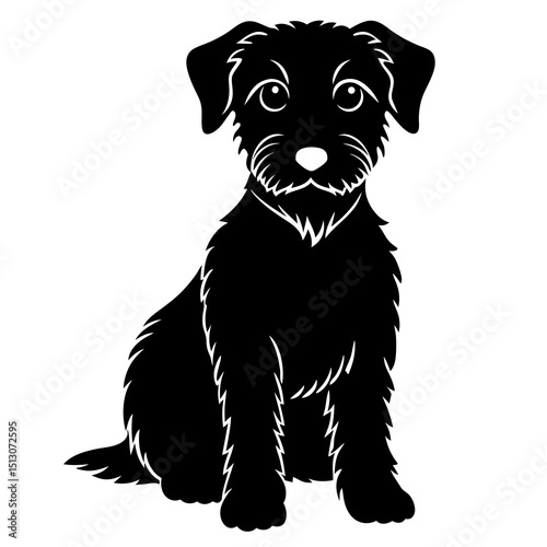 black and white dog