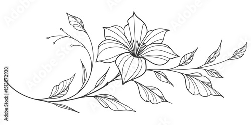 Sketch Floral Botany Collection. flower drawings. Black and white with line art on white backgrounds. Hand Drawn Botanical Illustrations.Vector
