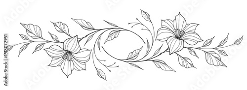 Sketch Floral Botany Collection. flower drawings. Black and white with line art on white backgrounds. Hand Drawn Botanical Illustrations.Vector