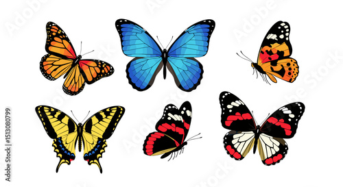 A collection of six colorful butterflies with varied wing patterns on a white background image art design