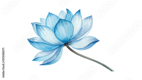 Elegant watercolor flower in soft blue on a pristine white background, offering a minimal yet artistic floral design suitable for decor, cards, or illustrations