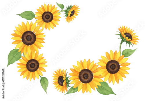 Watercolor sunflowers wreath isolated on transparent background, featuring vibrant yellow petals and green leaves in a botanical arrangement for decorative design