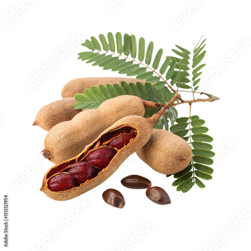 Fresh tamarind pods with leaves isolated on transparent background