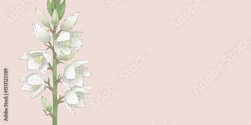 Yucca Flower Vector, White Flor de Izote Botanical Illustration