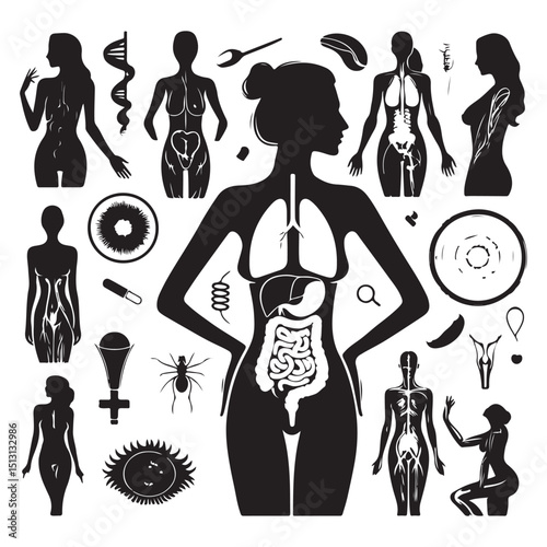 fashion girls silhouettes