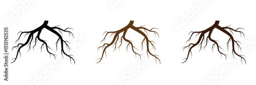 Tree root icon set. Plant root system. Tree stump icon set. Realistic black roots illustration. Silhouette Vector illustration in eps 10.	
