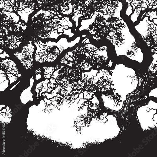 Oak trees with sprawling branches. silhouette illustration