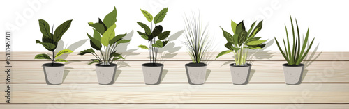 Collection of Potted Houseplants on Wooden Surface Minimalist Home Decor
