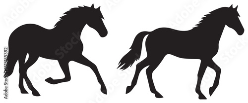 vector illustration of a horse