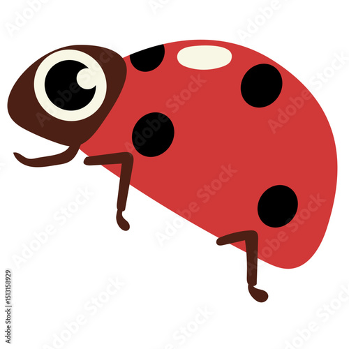 ladybug vector illustration