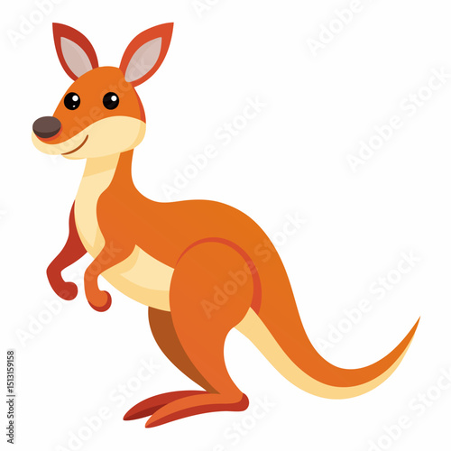 kangaroo vector illustration