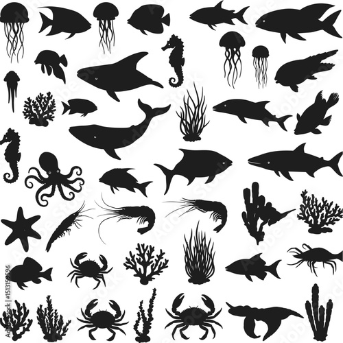 Silhouetted sea life varied fish jellyfish seahorses crabs shrimp seaweed octopus starfish and coral all in black