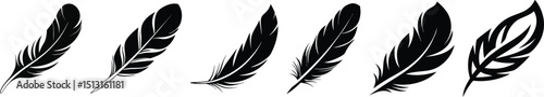 bird feather icon, feather silhouette symbol, feather vector illustration