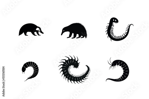 Silhouette icons of aardvarks and centipedes