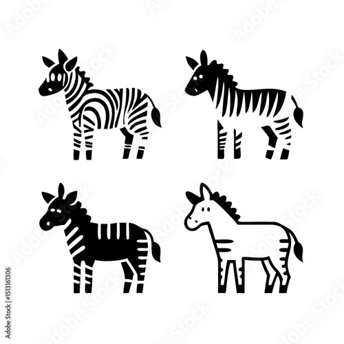 zebra